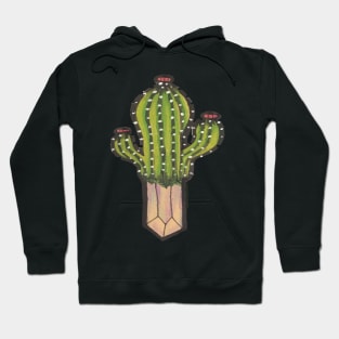 Cactus with crystal roots 2 Hoodie